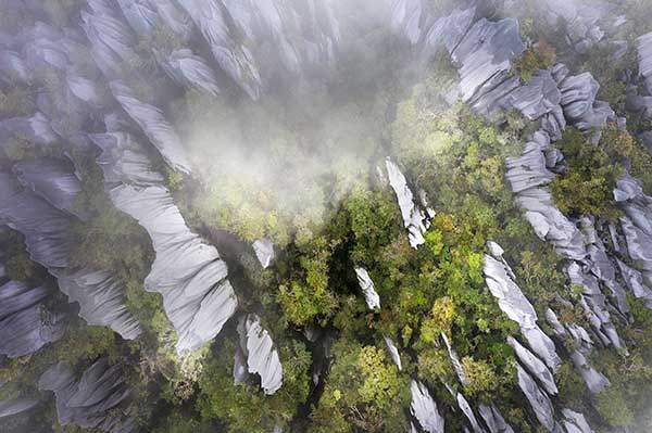 드론으로 촬영한 물루 피너클. 열대기후의 장대비가 연약한 석회암을 수백만 년에 걸쳐 녹이며 피너클을 조각했다.