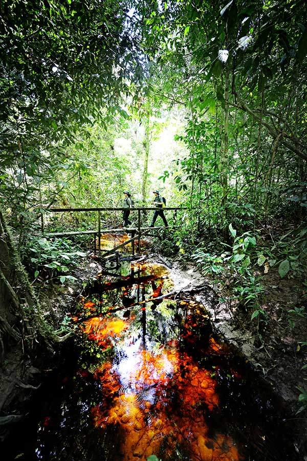 낙엽에서 나온 유기산과 토양 속 철분이 녹아들어 붉은빛을 띤 계곡. 캠프5로 가는 정글 초입에서 볼 수 있다.