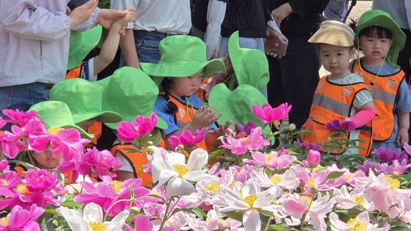 20일 영천시 스타어린이집 원생들이 화북면 자천리 작약꽃밭을 찾아 자연 체험을 하고 있다. 권오석 기자