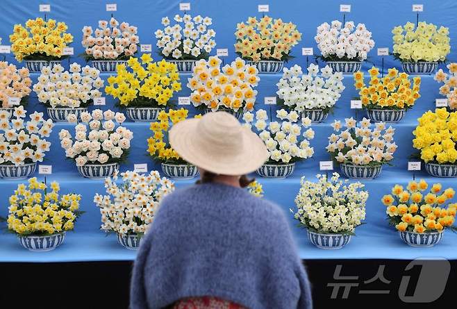 19일(현지시간) 영국 런던에서 열린 RHS 첼시 플라워쇼 행사에 앞서 방문객이 꽃 전시를 살펴보고 있다. ⓒ AFP=뉴스1