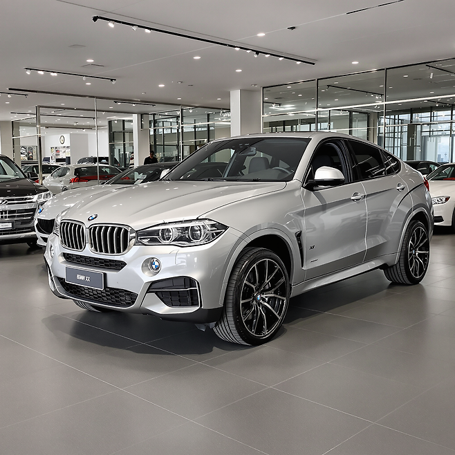 bmwx6 가격표 제원 연비