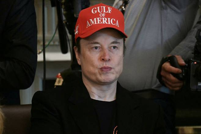 일론 머스크 테슬라 최고경영자(CEO)