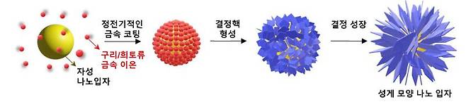 성게모양 나노 입자 모습. KIST 제공