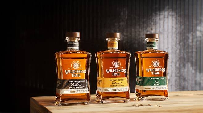 (캄파리코리아 제공)