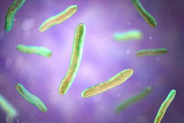 사진=클립아트코리아