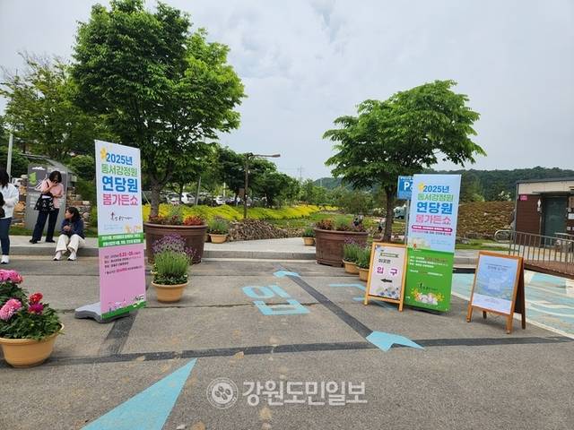 ▲ ▲영월군의 2025년 동서강정원 연당원 봄 가든 쇼가 열리는 행사장 입구