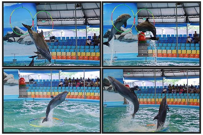 사진제공|손진석 기자(비즈월드)