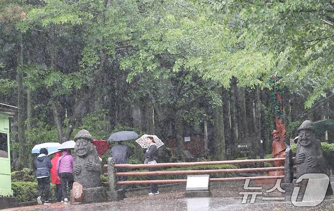 9일 오전 제주시 봉개동 절물자연휴양림에 많은 비가 내려 탐방객이 급히 발걸음을 옮기고 있다. 2025.5.9/뉴스1 ⓒ News1 오현지 기자