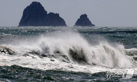 자료 사진. ⓒ News1 윤일지 기자