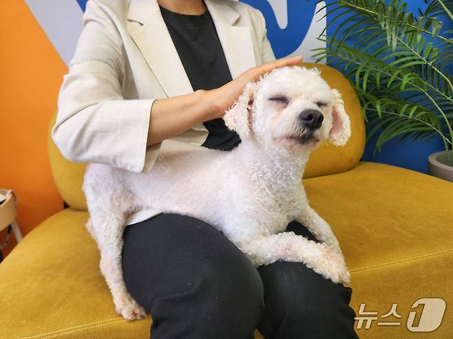 서울동물복지지원센터에서 보호 중인 레온 ⓒ 뉴스1 한송아 기자