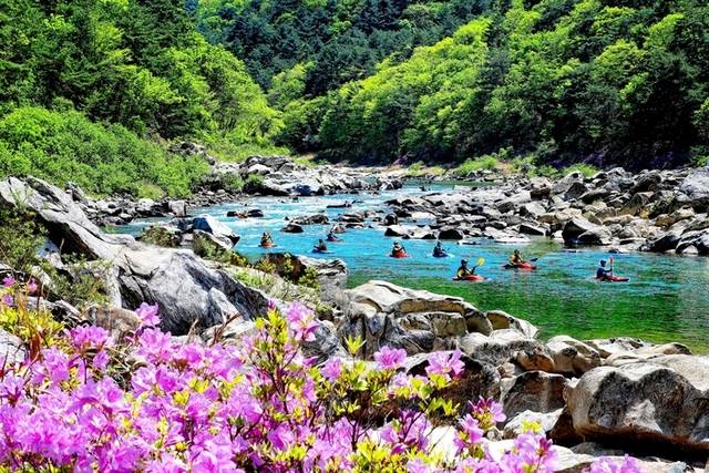 ▲ 인제 ‘내린천 수변 트레킹코스’의 6월말 암반구간인 인도교~굴아홉굴 코스(750m) 정비공사가 완료된다. 이는 이미 조성된 인제읍 원대리 원대교~피아시 인도교 코스(3.45㎞)와 연결돼 내린천 수변 트레킹코스를 완성한다. 인제 내린천 모습.