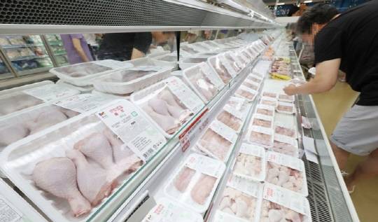 사진은 대형마트 닭고기 판매대. 연합뉴스