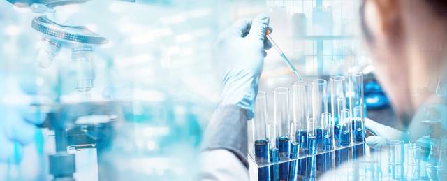 게티이미지뱅크