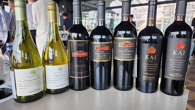 지난 13일 마스터클래스에서 제공된 에라주리즈 와인들. 왼쪽부터 아콩카구아 코스타 소비뇽 블랑, 아콩카구아 코스타 샤르도네, 돈 막시미아노 파운더스 리저브 1990, 돈 막시미아노 파운더스 리저브 2010, 돈 막시미아노 파운더스 리저브 2021, 카이 2013, 카이 2021. 안병준 기자
