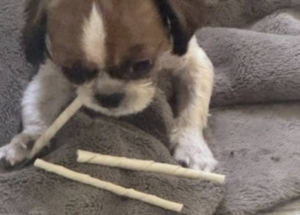 온라인 커뮤니티