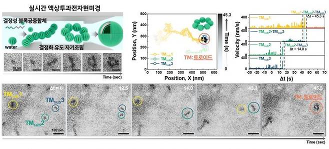 실시간 액상 투과전자현미경을 이용한 양친매성 블록공중합체의 결정화 유도 자기조립 과정 규명.