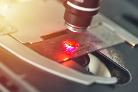 ※사진은 기사와 직접적인 관련이 없음.