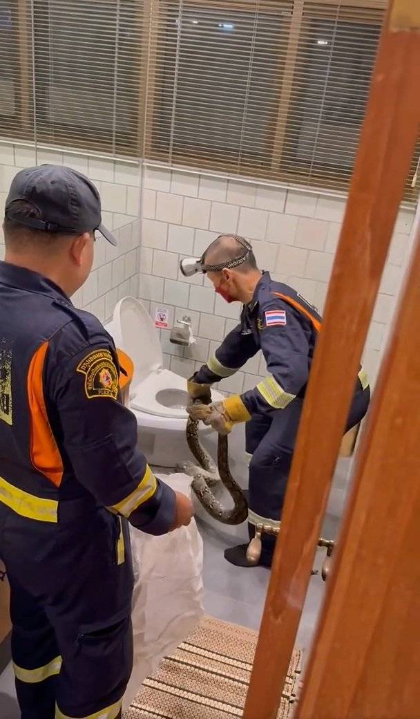 타탐 페이스북 캡처