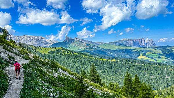 사쏘 룽고 트레킹에서는 세체다, 알페 디 시우시, 로젠가르텐 등으로 연결되는 풍경이 펼쳐진다.