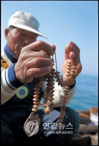 부산 가덕도 대항마을 '육수장망' 숭어잡이 운반선에 옮겨 싣는 숭어를 셈하는 기구인 '산'은 주산 알과 엽전으로 구성되어 있는데 숭어 2접(1접은 1000마리)까지 계산이 가능하다. 사진/이화정 기자 2002.05월호 <저작권자 ⓒ 연합뉴스 2001. 무단전재-재배포 금지.>(본사자료)
