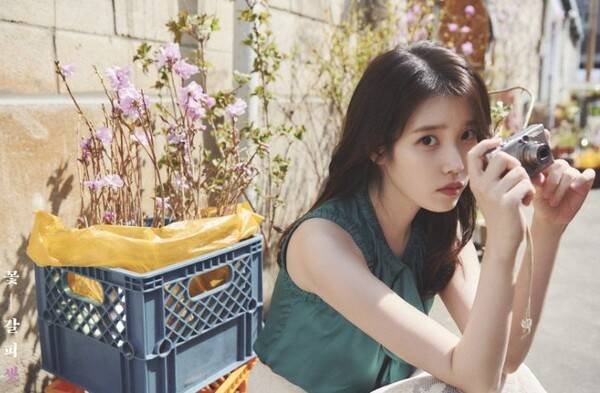 아이유 / 사진=EDAM엔터테인먼트