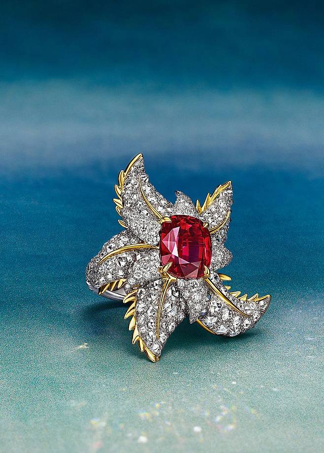 8K 옐로골드와 언힌스드 루비를 세팅한 불가사리 루비 링.