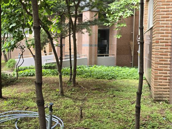 화성 동탄 가스라이팅 납치살인 사건 가해자와 피해자가 거주하던 경기 화성 동탄신도시의 한 아파트 현관과 화단. 손성배 기자