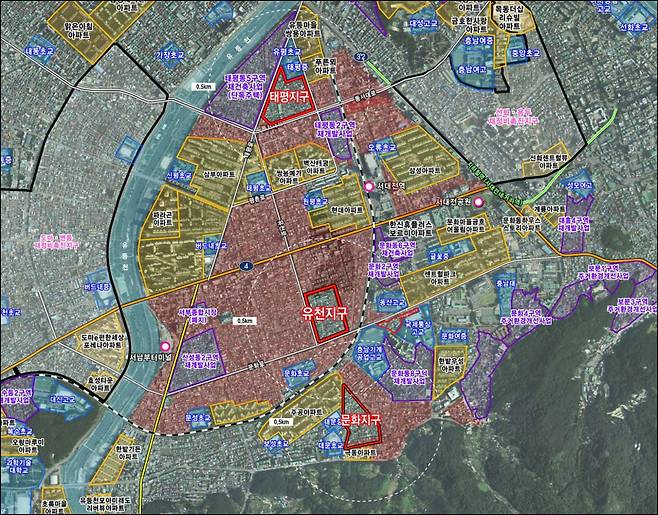 대전 중구 태평동, 유천동, 문화동 등이 표기된 지적도. 대전 중구청