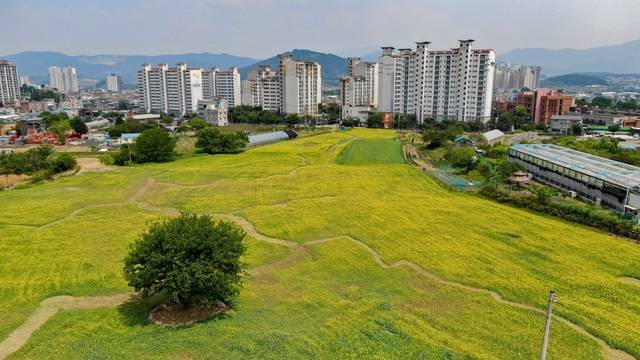 포천시 포천동은 신읍동 334번지 일원 포천동행정복지센터 건립 유휴부지에 조성한 ‘왕방공원’을 28일 개장한다. 포천시 제공