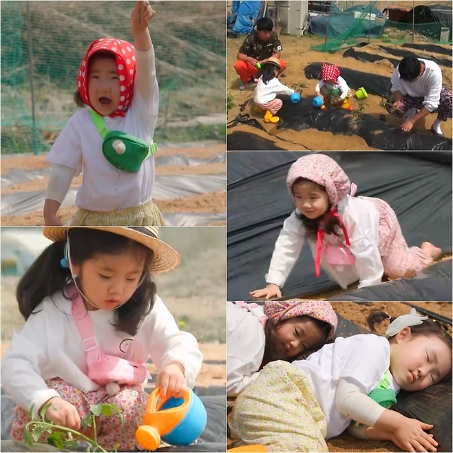 KBS2 예능 ‘슈돌’