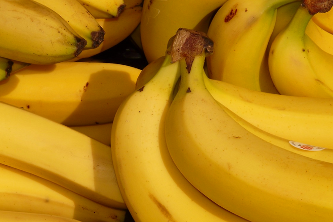 바나나