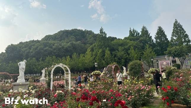 에버랜드 장미축제가 열리는 로즈가든의 비너스원. / 사진=정혜인 기자 hij@