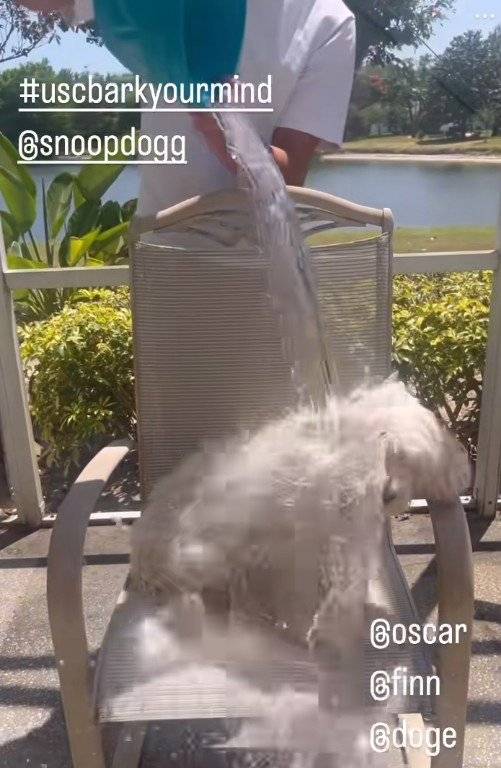 사진=틱톡 갈무리