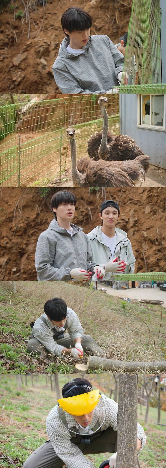 사진 제공 = KBS 2TV ‘가는정 오는정 이민정’