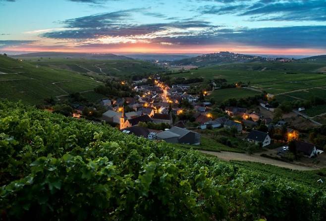 앙리 부르주아가 자리잡고 있는 프랑스 루아르 상세르의 샤비뇰(Chavignol) 마을 전경.