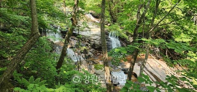 ▲ 인제 대암산은 분지·습원 등 지형적으로 다양한 특징을 갖고 있고, 기후조건이 특이해 많은 희귀동식물이 서식하고 있다. 폭포 모습. 이동명 기자