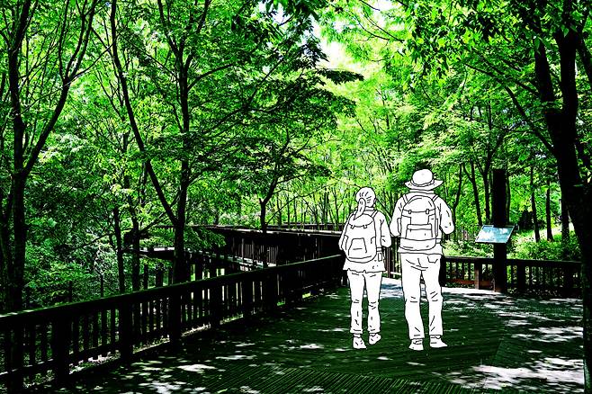 산책로를 따라 다양한 꽃과 수목을 감상하며 걷다 보면 이곳의 하이라이트인 금산폭포까지 만날 수 있는 자연휴양림 ‘대가야수목원’. 일러스트 | 김상민 기자