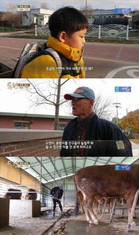 Internet_20250601_174405_2.jpeg 4년전 방송 되었던 뇌성마비 아버지와 9살 딸.. jpg