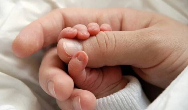 클립아트코리아