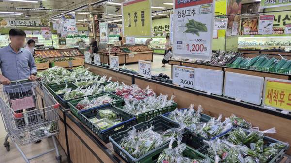 27일 방문한 하나로마트 수원점에서 한 방문객이 청과물 코너에 진열된 고추를 살피고 있다. 금유진기자