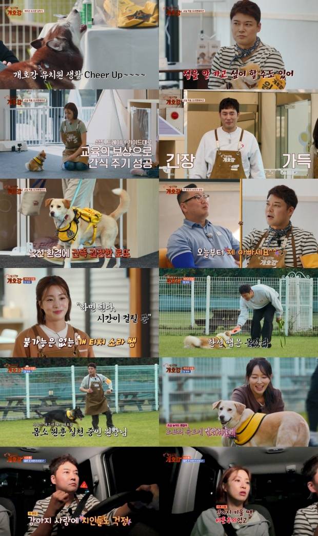 집나가면 개호강