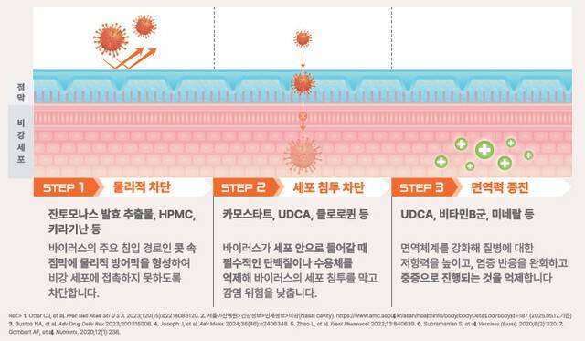 호흡기 바이러스 감염 단계별 성분 방어 작용|출처: 하이닥