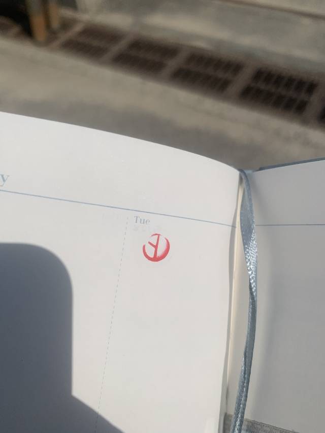 ▲ 3일 충북 청주시에서 한 시민이 다이어리에 기표 도장을 찍어 투표를 인증했다. /독자 제공