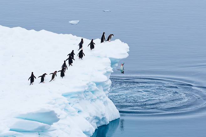 Martin Schmid, 줄을 서시오/The Comedy Wildlife Photography Awards 2025