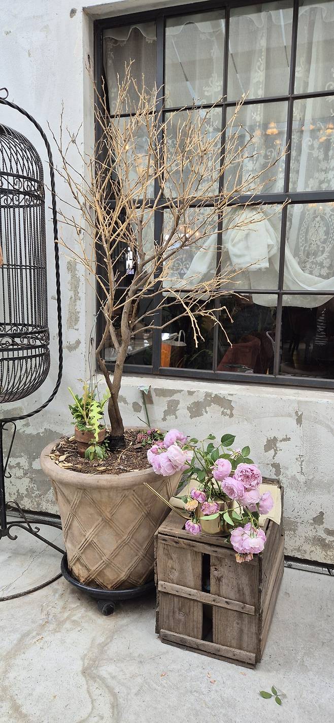 20250602_144804.jpg 전주 가족 여행 후기