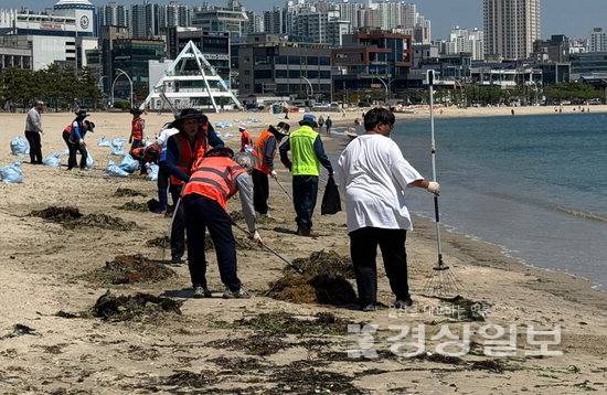 ▲ 수십 명의 작업자들이 4일 울산 동구 일산해수욕장에서 도구를 들고 직접 모래 위에 흩어진 해조류를 긁어모으고 있다.