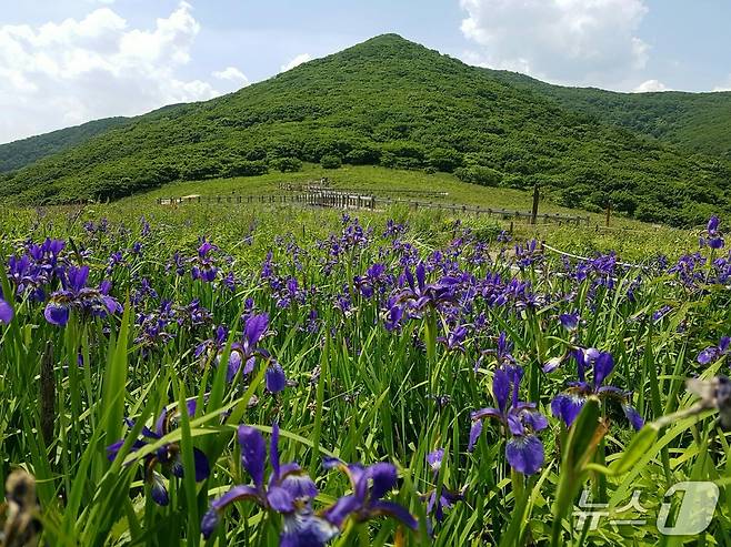 산림유전자원보호구역 곰배령 정상 모습 (산림청 제공.재판매 및 DB금지)/뉴스1