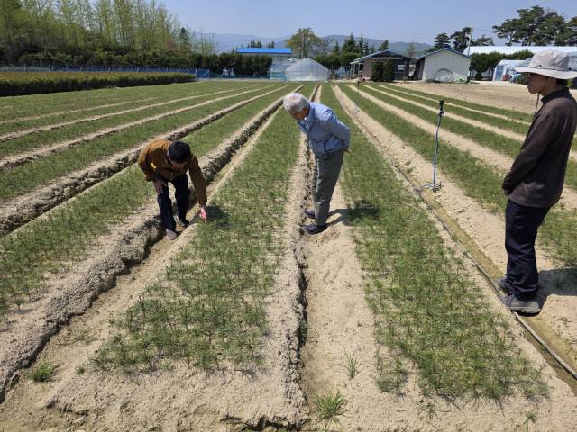 ▲ 안중걸 한국산림녹화 UNESCO 등재추진위원과 염돈호(사진 가운데) 제8대 한국양묘협회 강원도지회장, 염동준 제10대 한국양묘협회 강원도지회장이 강릉 사천면 양묘장 나무를 살펴보고 있다. 오세현 기자