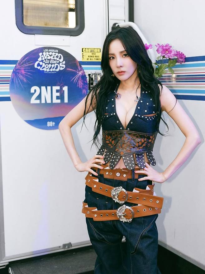 SaveVid.Net_503307504_18517554220041587_7204909946459729052_n.jpg 산다라박 인스타 업로드