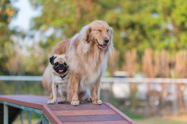 게티이미지뱅크